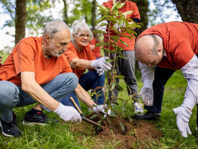 Group of activists planting a tree in a forest together