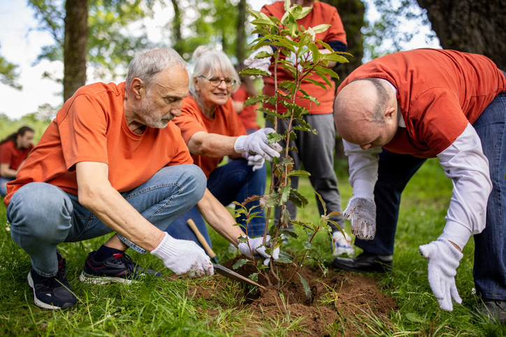 Group of activists planting a tree in a forest together